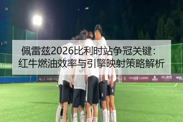 pei-lei-zi-bi-li-shi-zhan-zheng-guan-guan-jian-hong-niu-ran-you-xiao-lv-yu-yin-qing-ying-she-ce-lve-jie-xi-2-645.jpg
